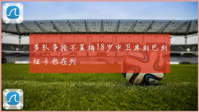 多队争抢不莱梅18岁中卫库利巴利纽卡也在列