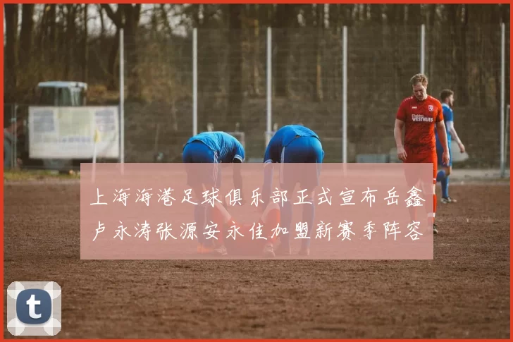 上海海港足球俱乐部正式宣布岳鑫卢永涛张源安永佳加盟新赛季阵容更新