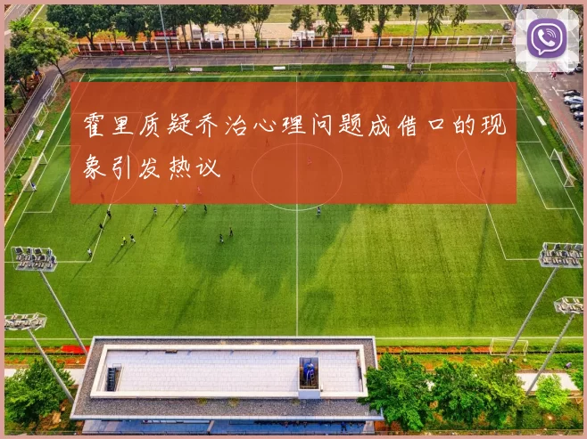 霍里质疑乔治心理问题成借口的现象引发热议