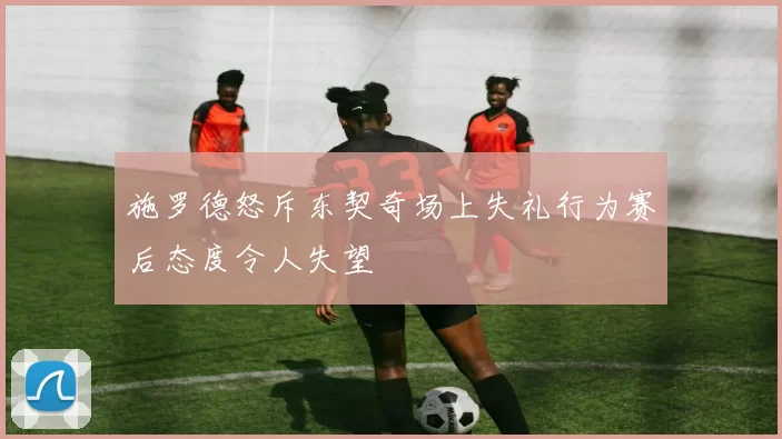 施罗德怒斥东契奇场上失礼行为赛后态度令人失望